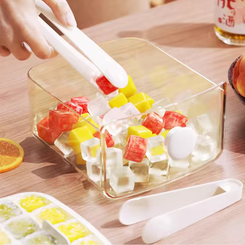 Stampo per Ghiaccio a Pression - Food Storage Hot Box recensione e prezzo